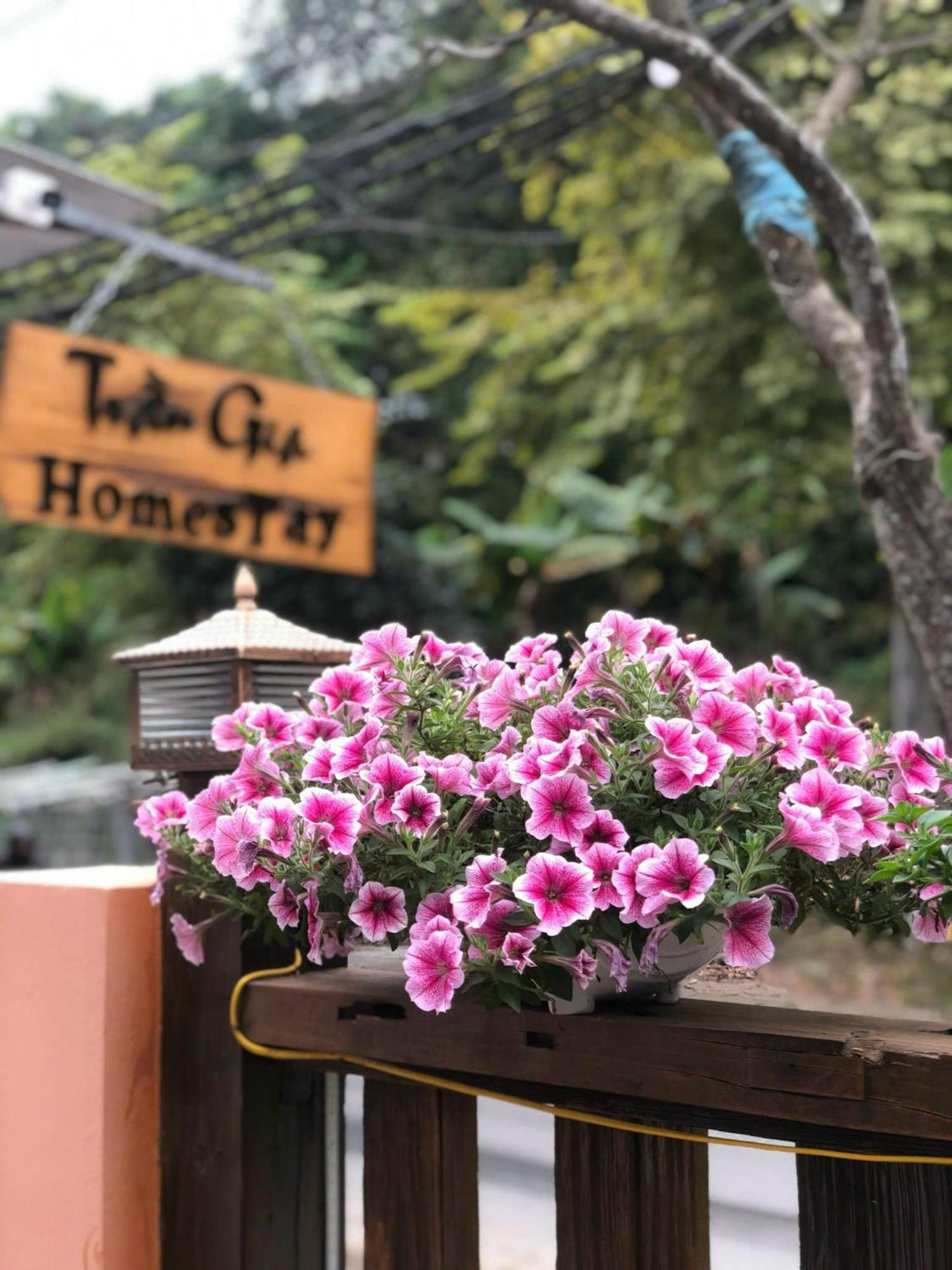 Tran Gia Homestay Nghia Lo Eksteriør billede