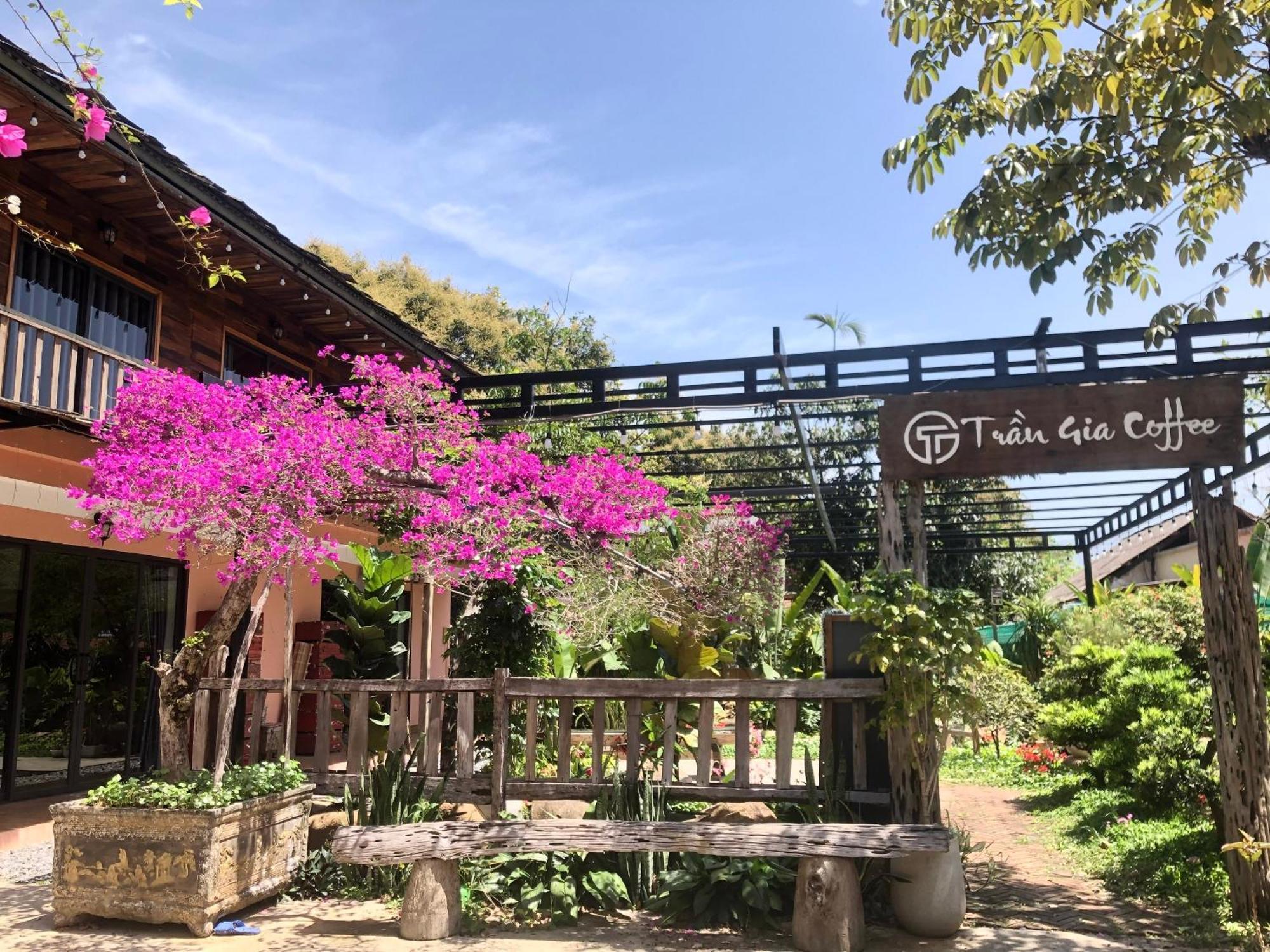Tran Gia Homestay Nghia Lo Eksteriør billede
